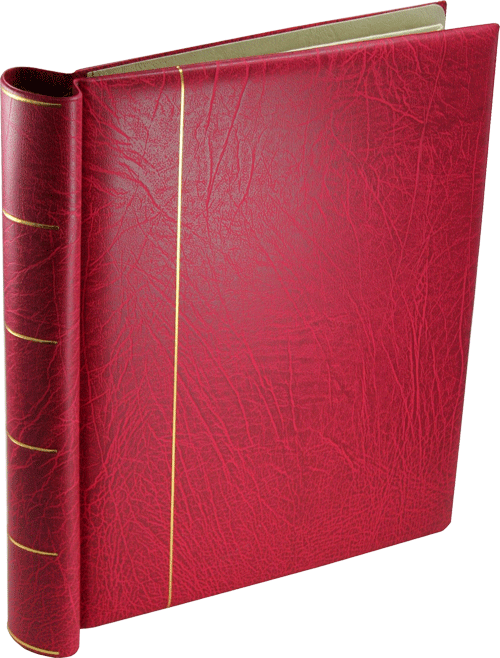 Springback binder